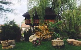 Casa Ott